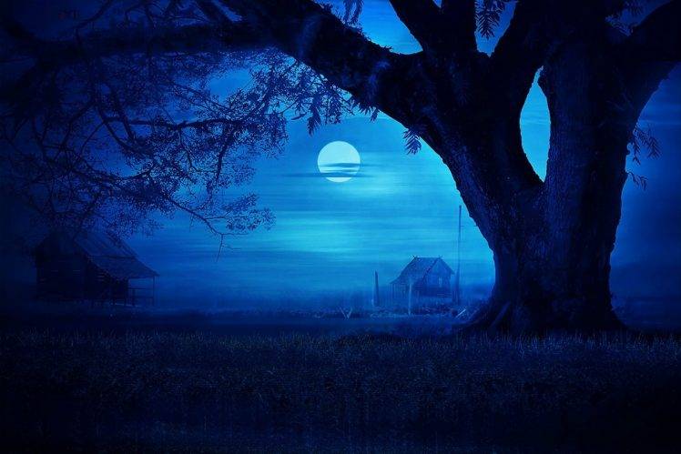 nature, Landscape, Blue, Moon, Night, Trees, Grass, Hut, Mist, Field HD Wallpaper Desktop Background