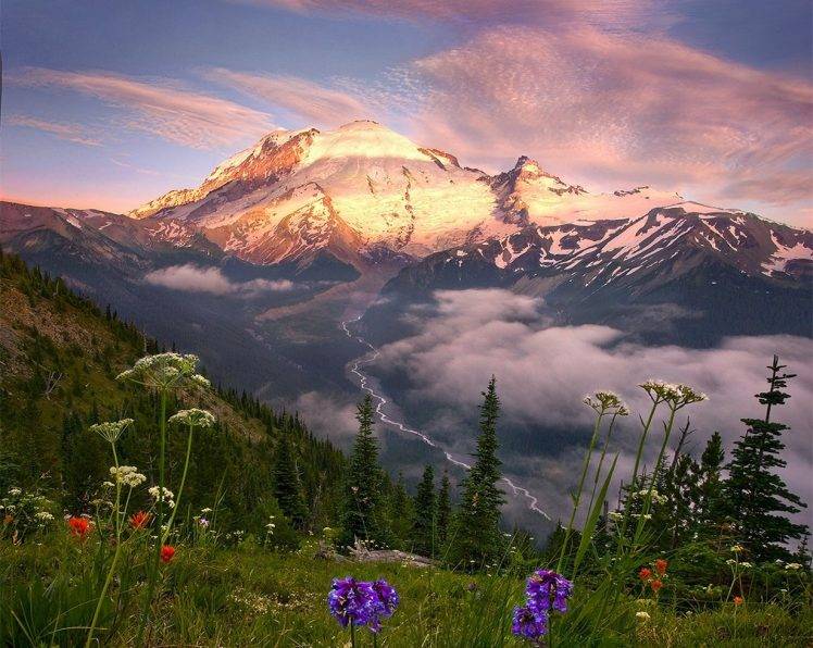 nature, Landscape, Wildflowers, Mountain, Snowy Peak, Pine Trees, Grass, Mist, River, Sunset, Sunlight, Spring HD Wallpaper Desktop Background