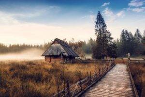 nature, Landscape, Cabin, Mist, Fall, Sunrise, Forest, Walkway, Dry Grass, Pine Trees