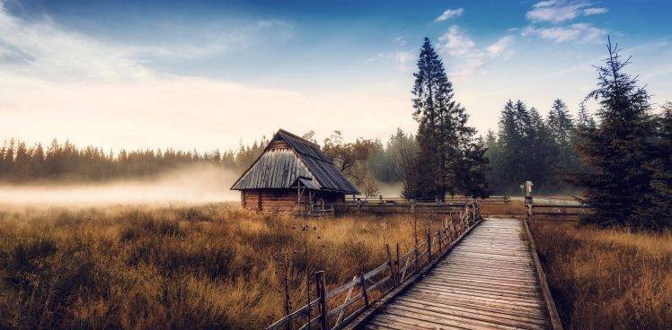 nature, Landscape, Cabin, Mist, Fall, Sunrise, Forest, Walkway, Dry Grass, Pine Trees HD Wallpaper Desktop Background