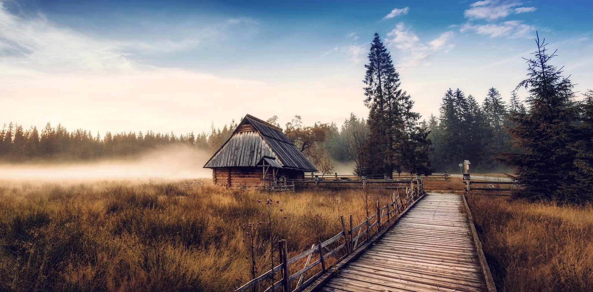 nature, Landscape, Cabin, Mist, Fall, Sunrise, Forest, Walkway, Dry Grass, Pine Trees Wallpaper