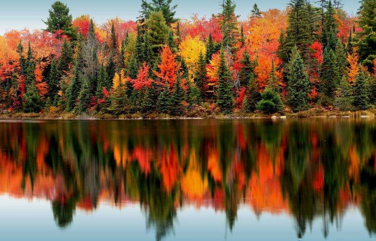 landscape, Pine Trees, Lake HD Wallpaper Desktop Background