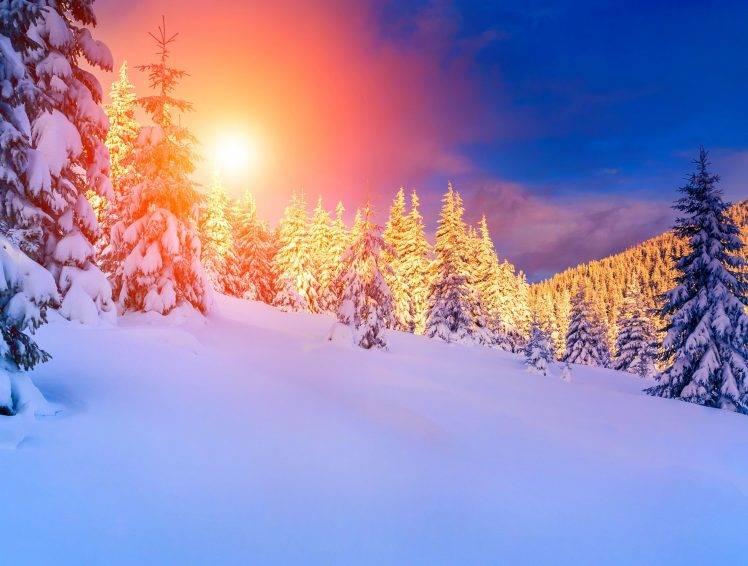 landscape, Snow, Pine Trees, Cat Ears HD Wallpaper Desktop Background