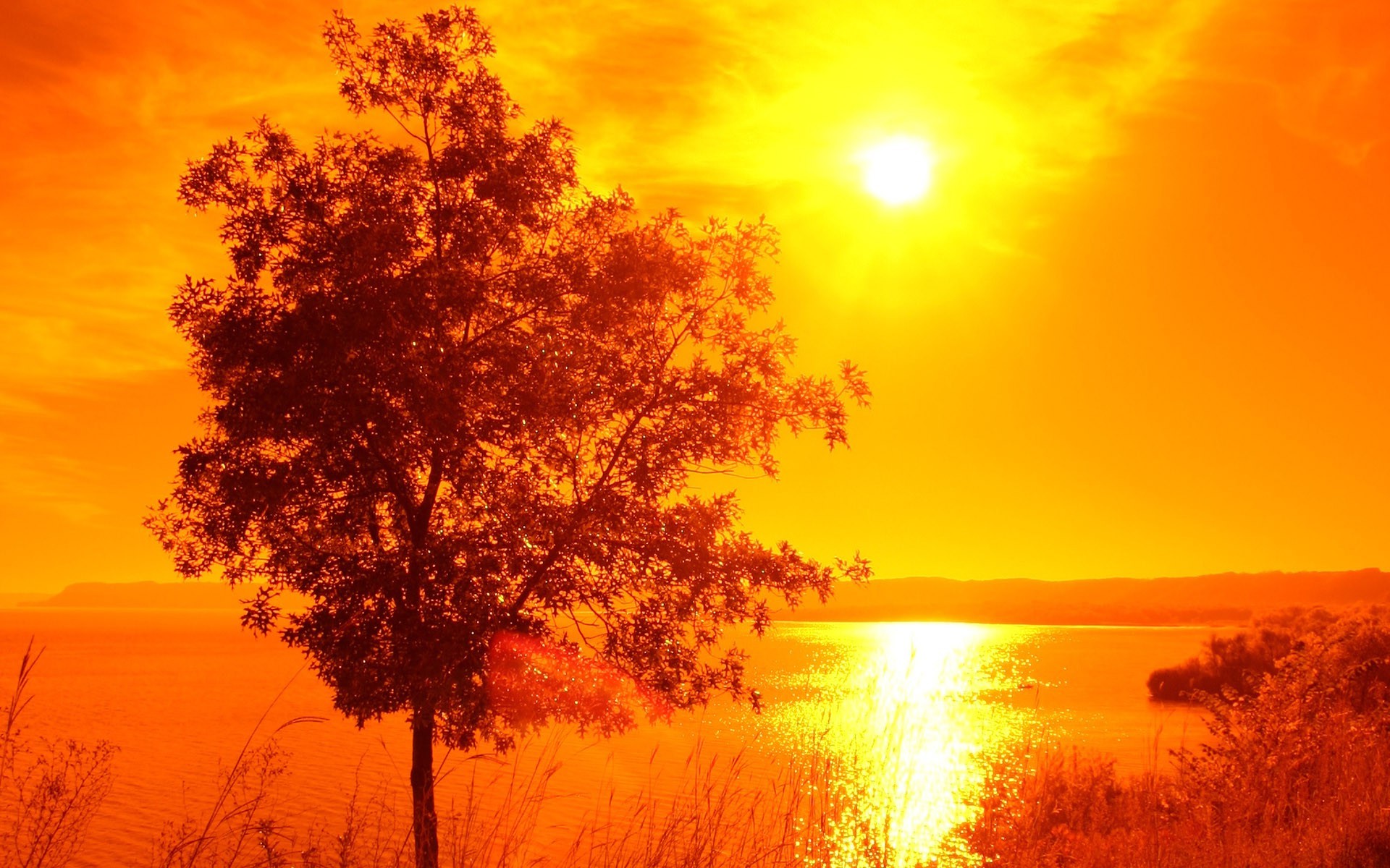 landscape, Sun, Trees, Lake, Orange, Water Wallpaper
