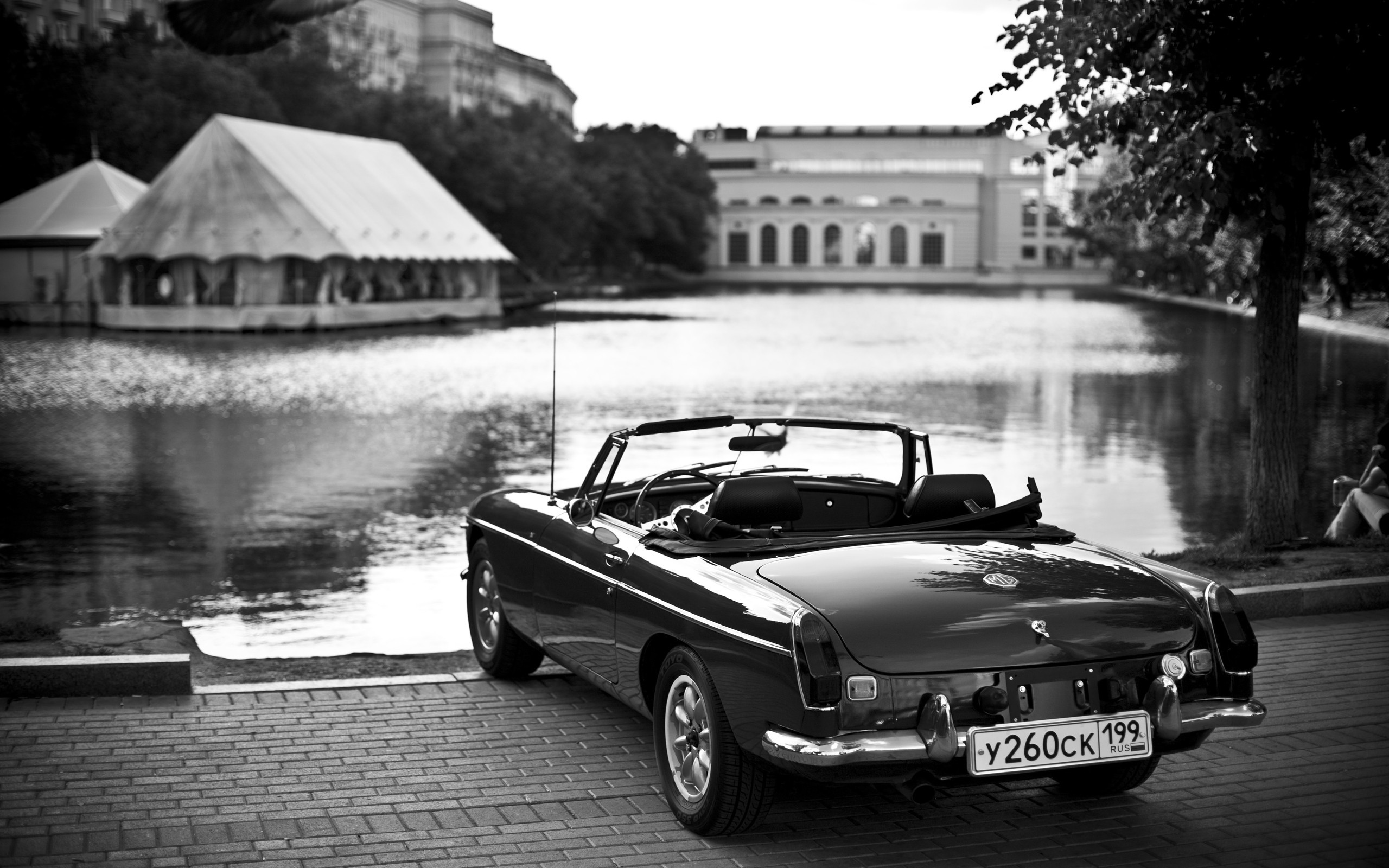 photography, Monochrome, Car, Pond, Water, Depth Of Field Wallpaper