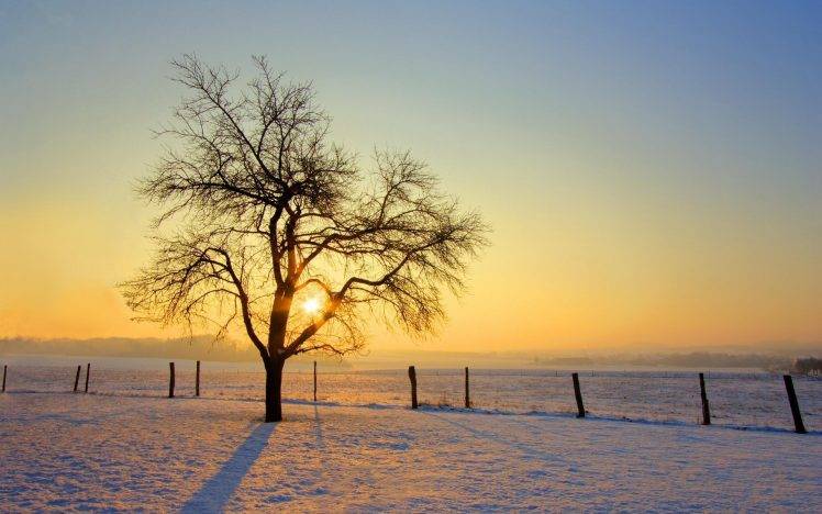 photography, Landscape, Nature, Trees, Sunrise, Winter, Snow, Field HD Wallpaper Desktop Background