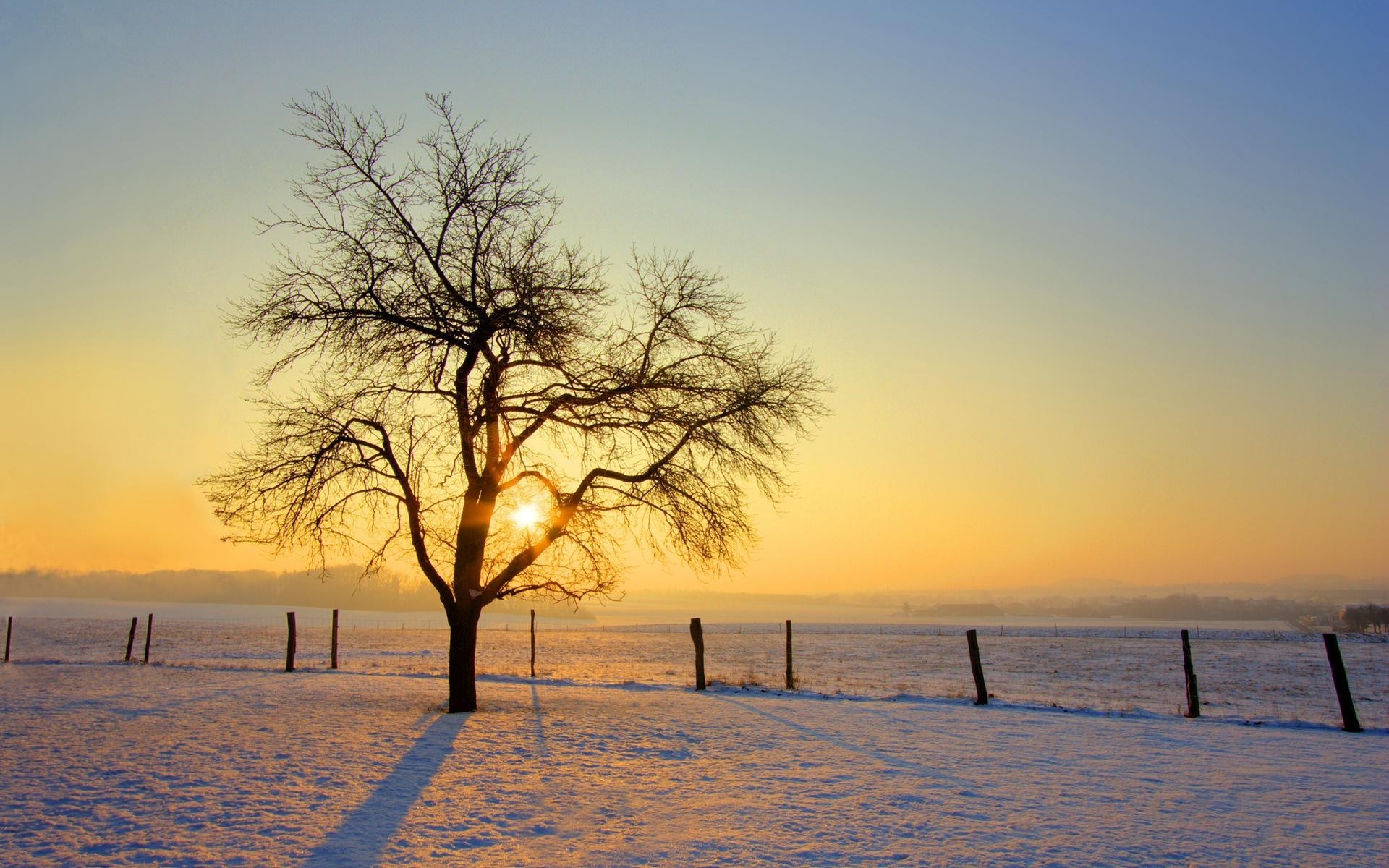 photography, Landscape, Nature, Trees, Sunrise, Winter, Snow, Field Wallpaper