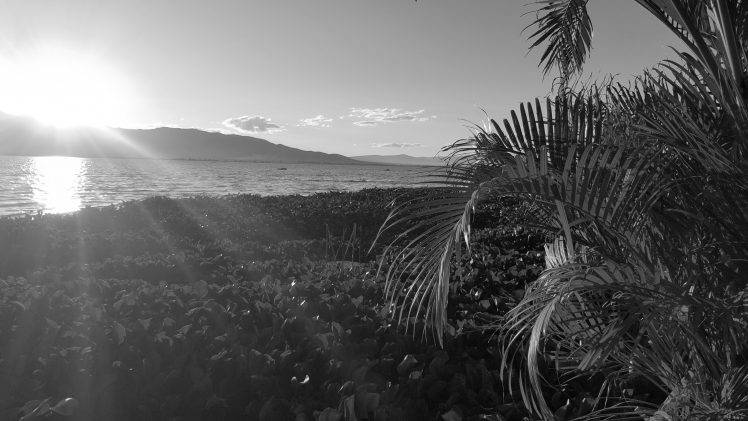 landscape, Lake, Monochrome, Sky, Mountain, Plants HD Wallpaper Desktop Background