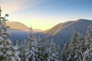 photography, Nature, Landscape, Trees, Plants, Mountain, Winter, Snow, Sunrise