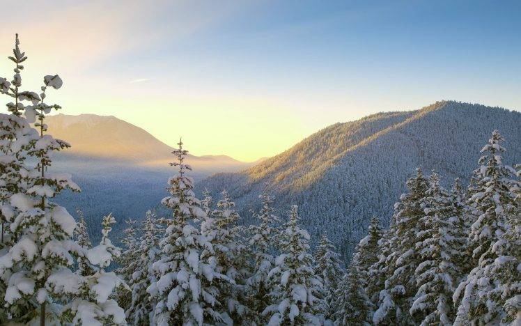 photography, Nature, Landscape, Trees, Plants, Mountain, Winter, Snow, Sunrise HD Wallpaper Desktop Background