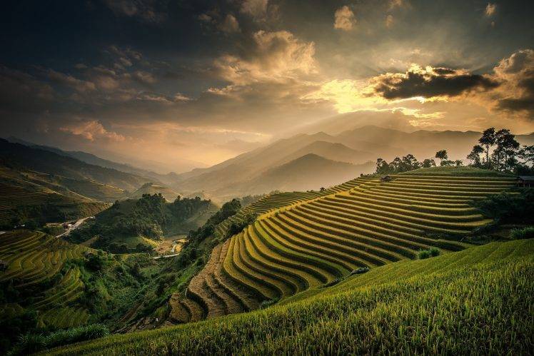 nature, Landscape, Field, Terraces, Mountain, Mist, Sunset, Valley, Clouds, Sky, Bali, Indonesia, Rice Paddy HD Wallpaper Desktop Background