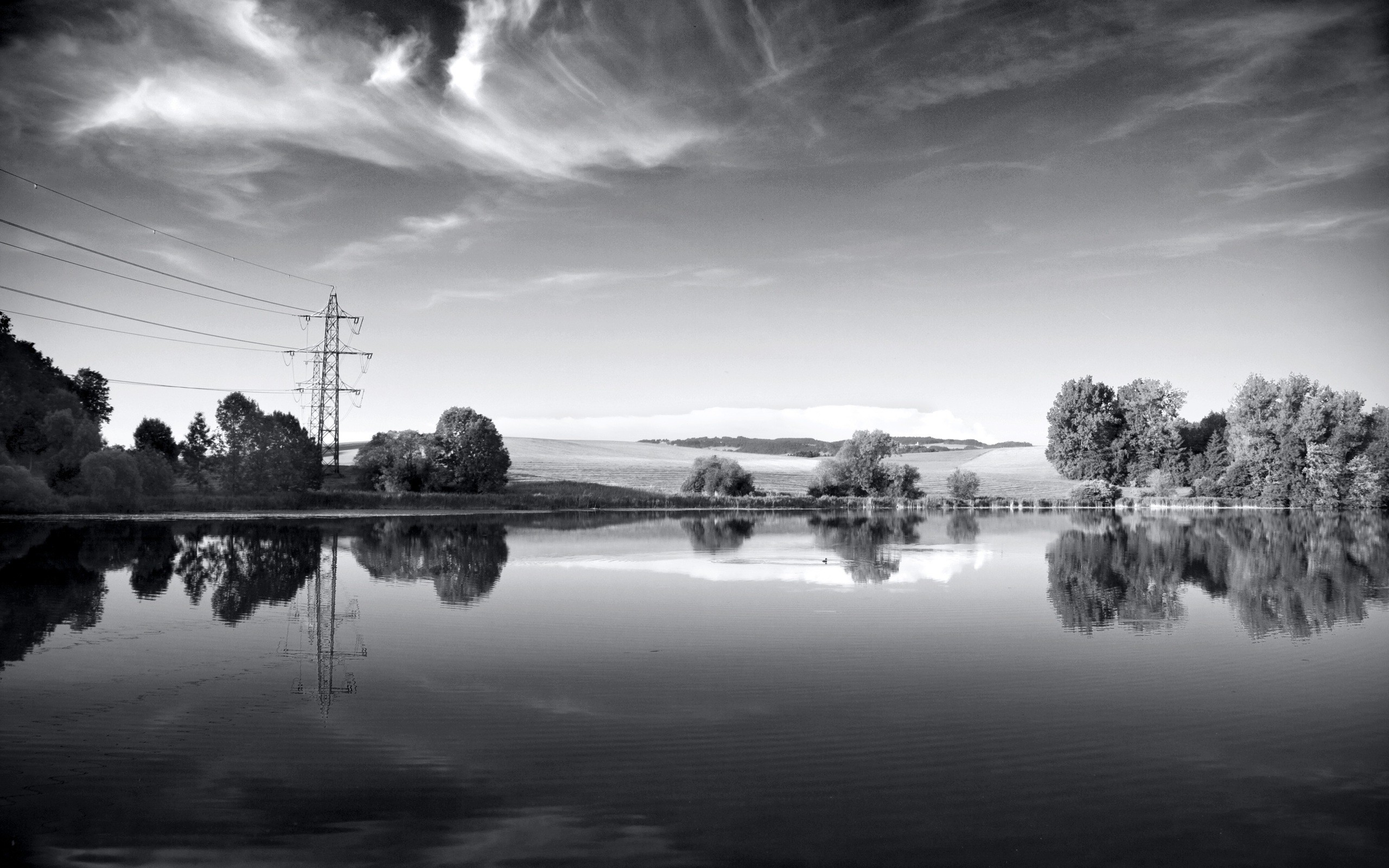 photography, Landscape, Trees, Nature, Plants, Water, Lake, Monochrome, Reflection, Power Lines Wallpaper