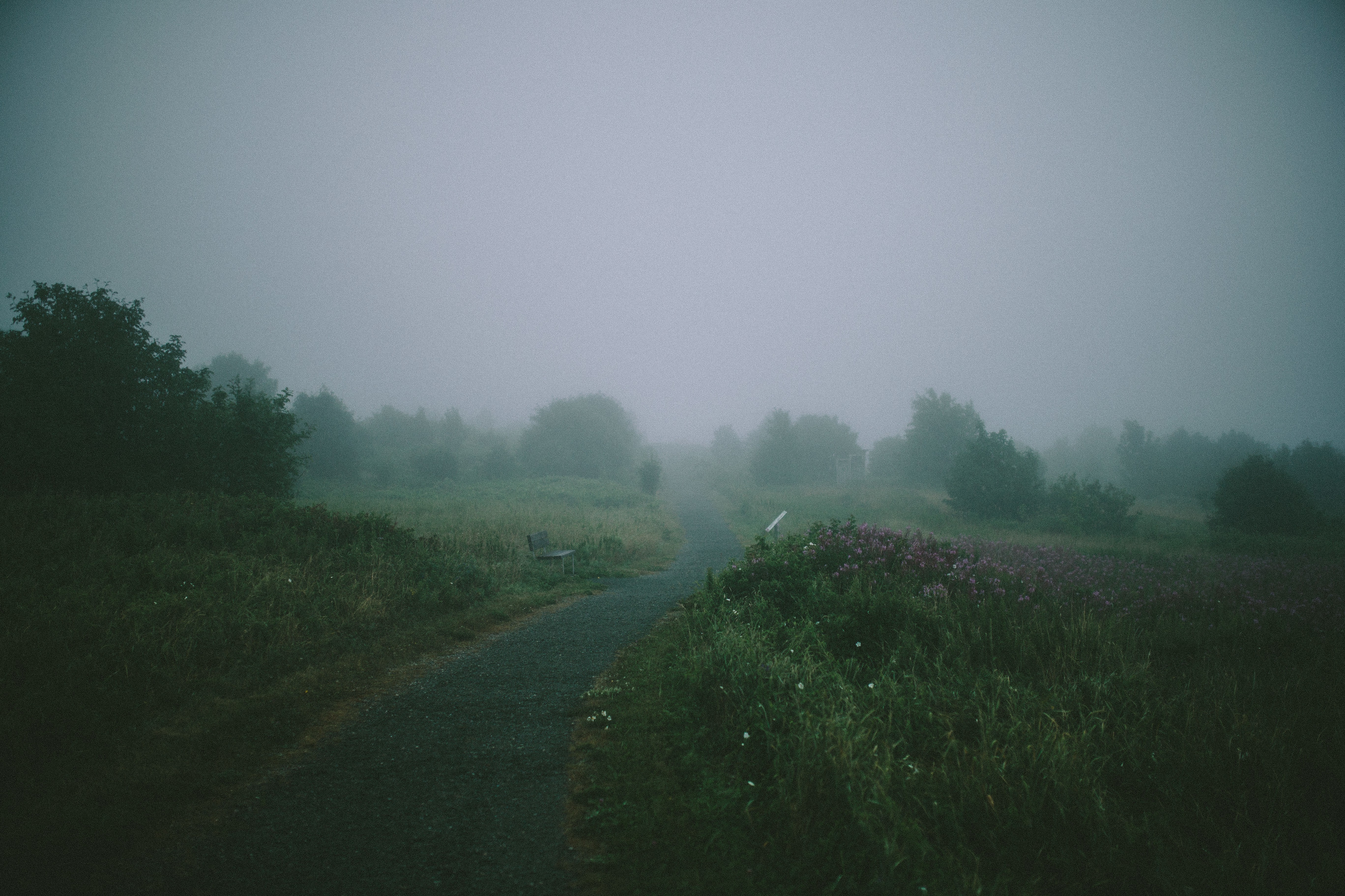 landscape, Path, Mist, Bench Wallpaper