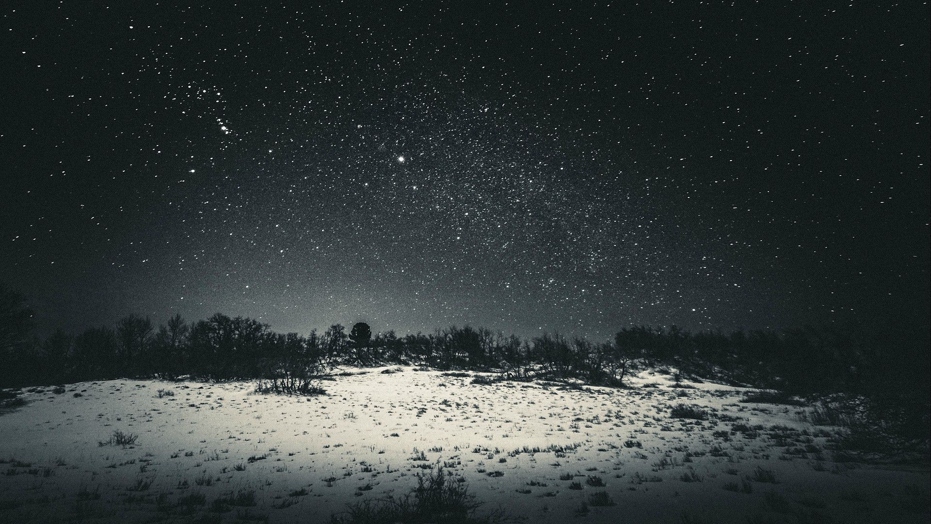snow, Sky, Night, Dark, Black, Stars, Trees, Landscape ...
