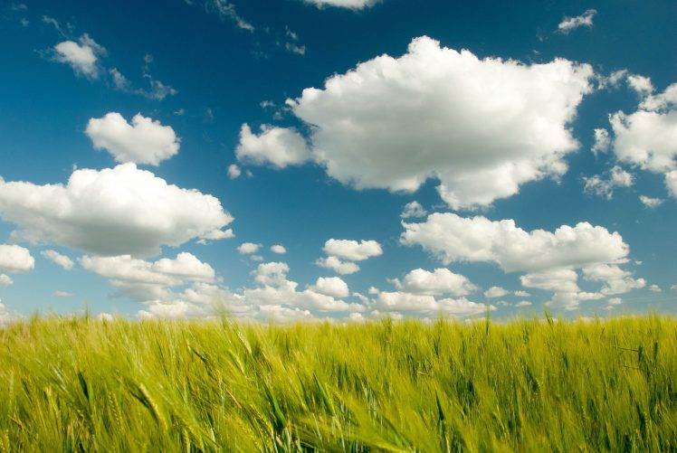 photography, Nature, Landscape, Clouds HD Wallpaper Desktop Background