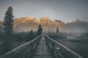 landscape, Mist, Mountain