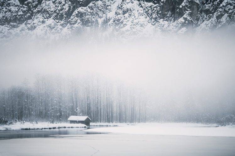 landscape, Pine Trees, Snow HD Wallpaper Desktop Background