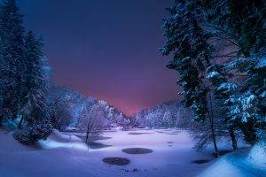 night, Landscape, Snow, Ice, Winter, Trees, Nature