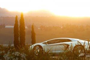 Forza Hozion, Forza Horizon 2, Forza Motorsport, Lamborghini, Lamborghini Aventador, White Cars, Sunset, Xbox