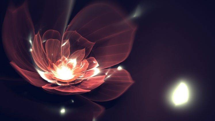fractal, Fractal Flowers HD Wallpaper Desktop Background