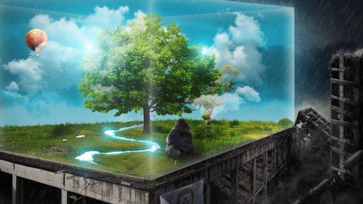 gorillas, Sad, Nature HD Wallpaper Desktop Background