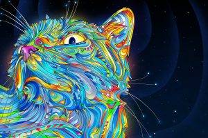 psychedelic, Cat, Colorful, Digital Art, Matei Apostolescu