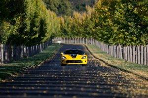 Dodge Viper, Car, Yellow Cars, Road, Trees, Depth Of Field