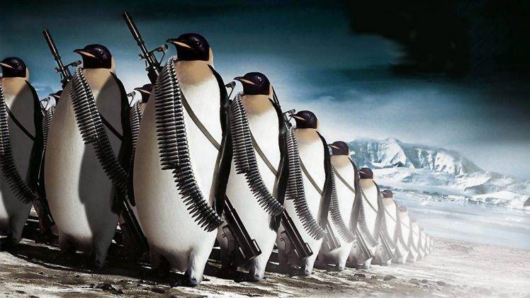 penguins, Humor, Army HD Wallpaper Desktop Background