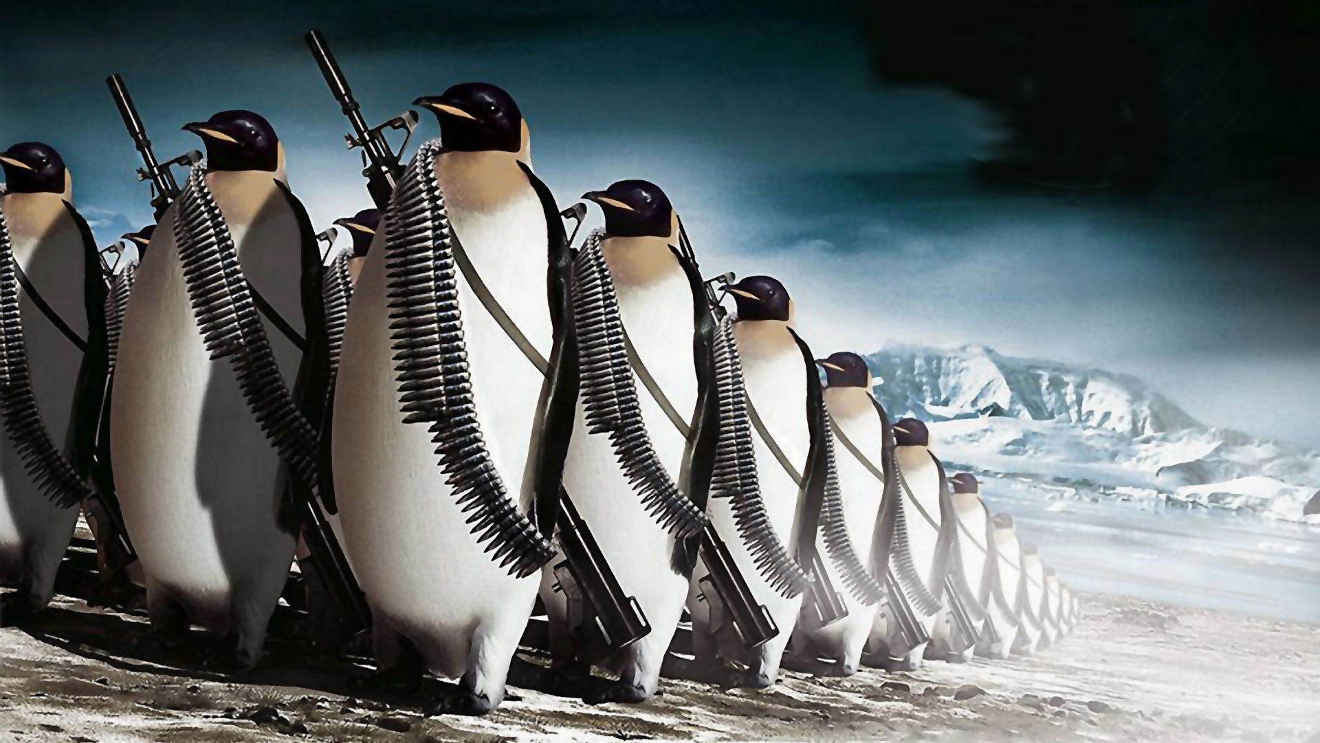 penguins, Humor, Army Wallpaper
