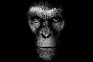 Planet Of The Apes, Movies, Artwork
