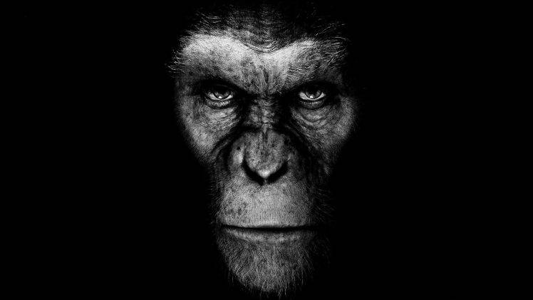 Planet Of The Apes, Movies, Artwork HD Wallpaper Desktop Background