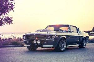 Ford Mustang, Shelby, Shelby GT, Car, Old Car, Muscle Cars, Ford Mustang Shelby