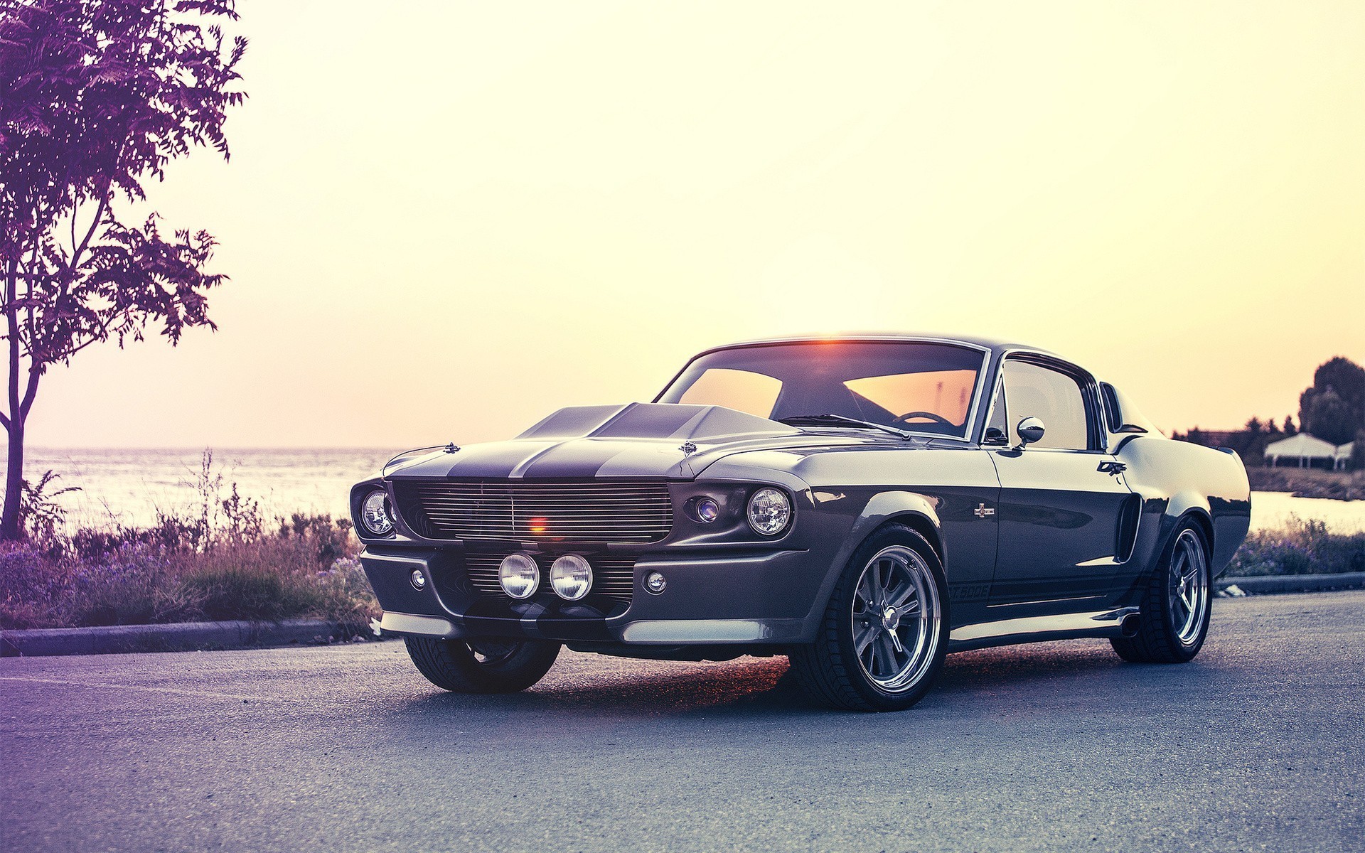 Ford Mustang, Shelby, Shelby GT, Car, Old Car, Muscle Cars, Ford Mustang Shelby Wallpaper