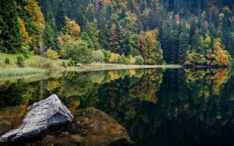 nature, Trees, Lake, Rock HD Wallpaper Desktop Background