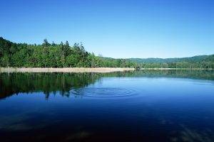 trees, Reflection, Lake, Water