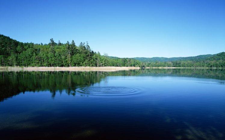 trees, Reflection, Lake, Water HD Wallpaper Desktop Background