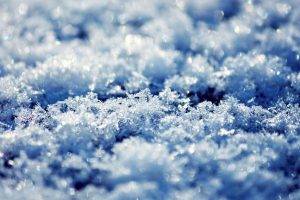 snow, Frost, Macro, Nature