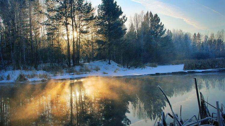 nature, Trees, River, Mist HD Wallpaper Desktop Background
