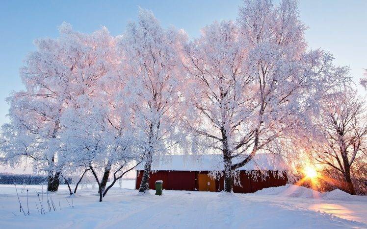 nature, Trees, Sunrise, Snow HD Wallpaper Desktop Background