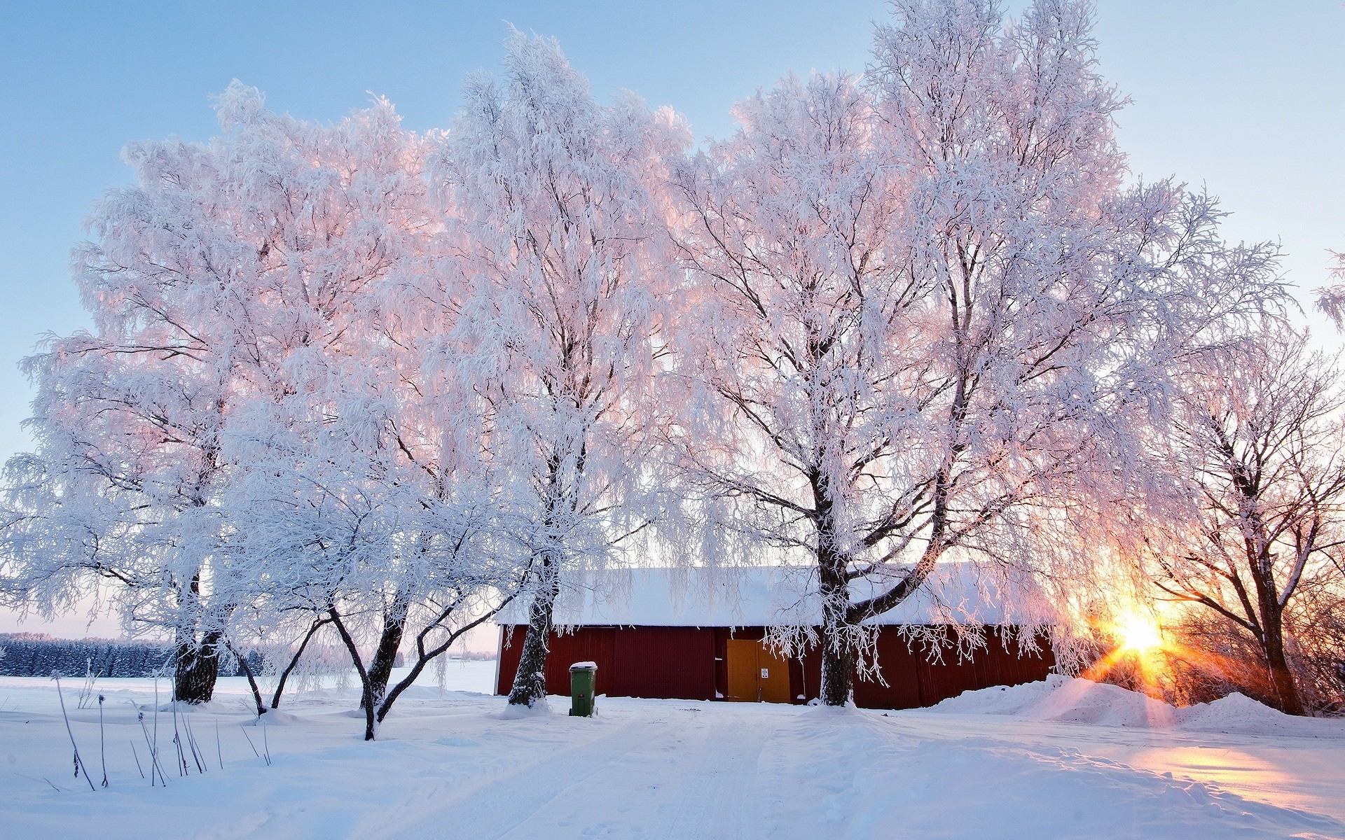 nature, Trees, Sunrise, Snow Wallpaper