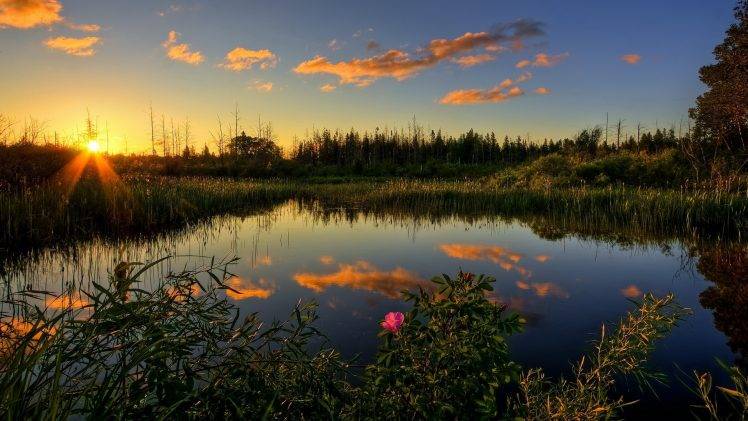 lake, Sunset, Trees, Clouds HD Wallpaper Desktop Background
