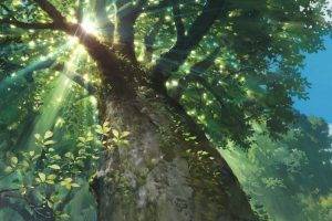 nature, Sunlight, Trees, Sun Rays, Worms Eye View, Studio Ghibli, Karigurashi No Arrietty