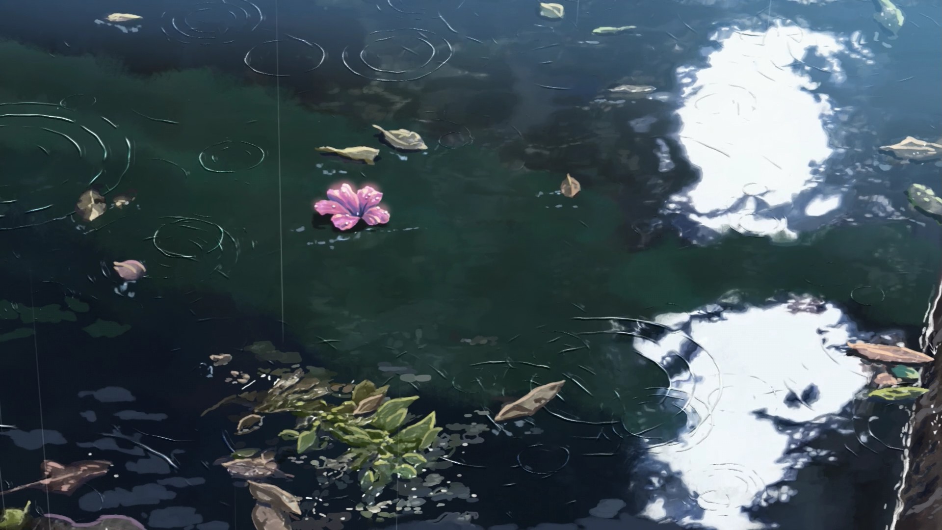 rain, The Garden Of Words, Makoto Shinkai, Water, Flowers, Sunlight Wallpaper