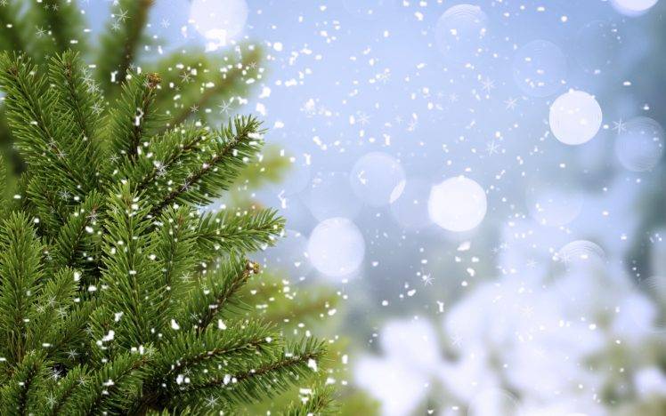 nature, Snow Flakes, Trees HD Wallpaper Desktop Background