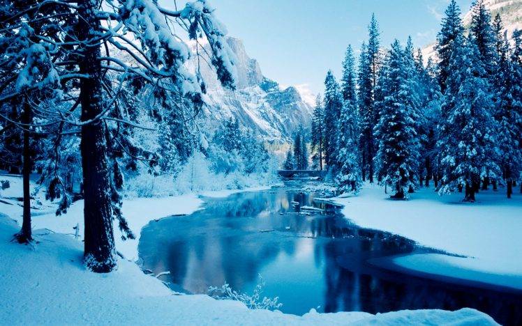 nature, Trees, Snow, Mountain HD Wallpaper Desktop Background