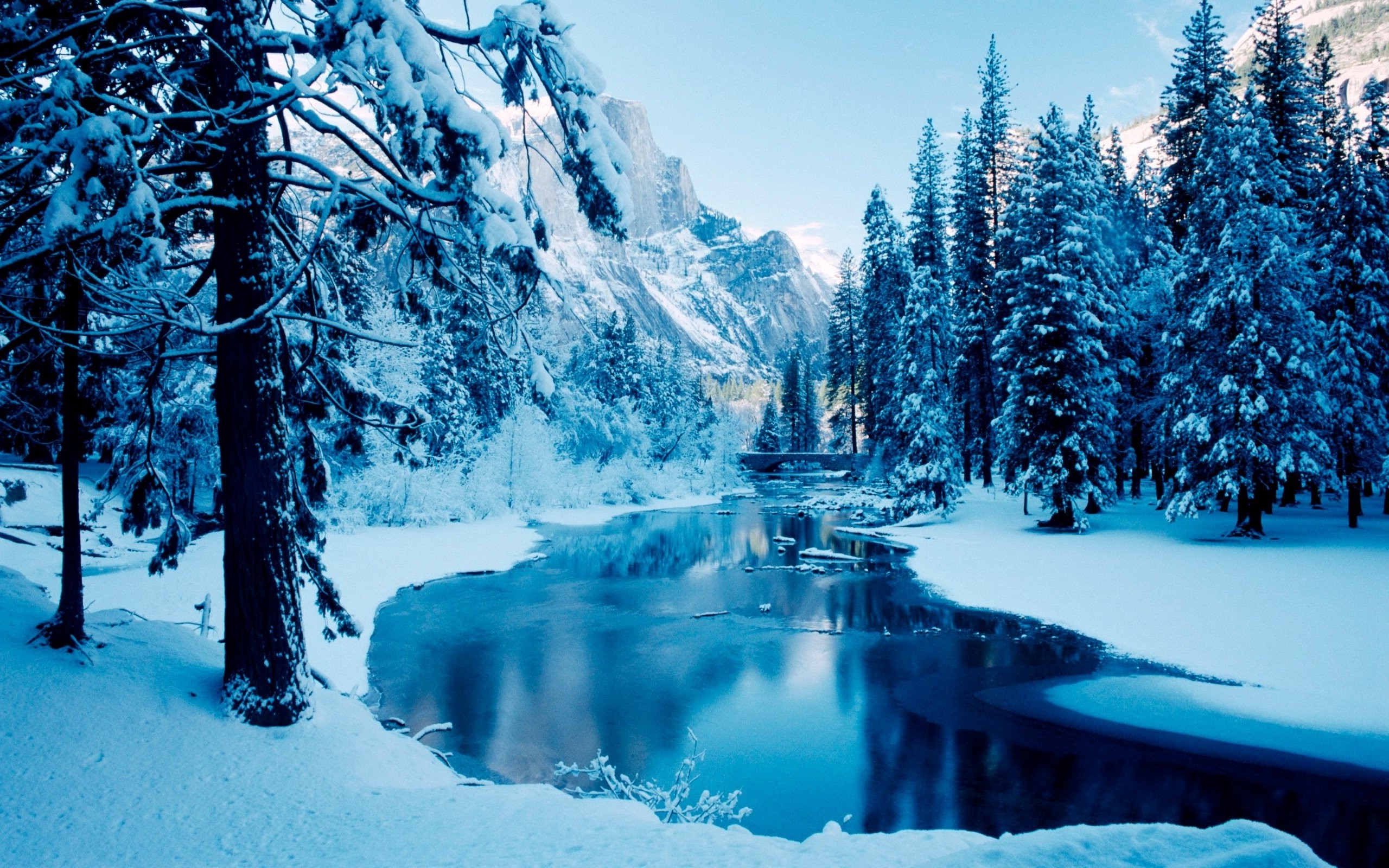 nature, Trees, Snow, Mountain Wallpaper