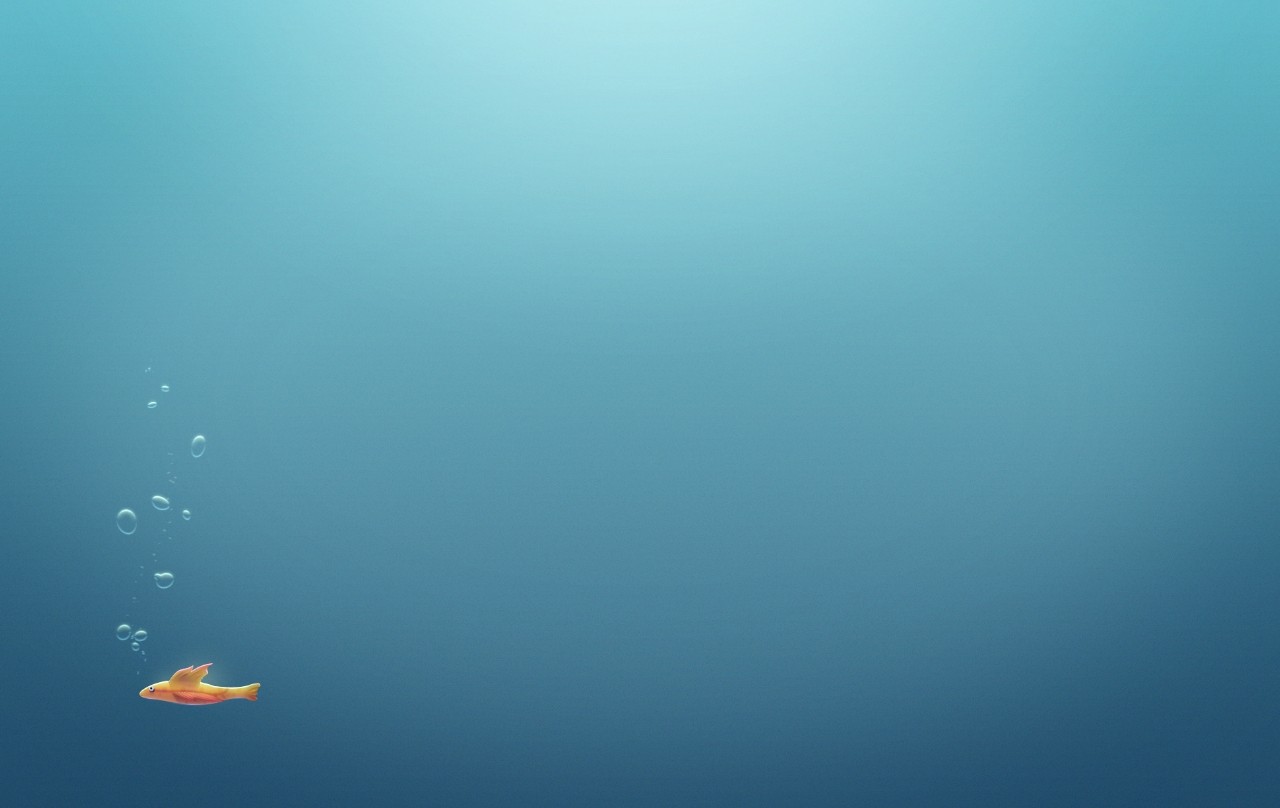 minimalism, Fish, Underwater, Quote Wallpaper