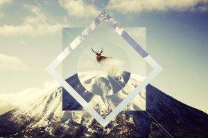 reindeer, Animals, Mountain, Snow, Polyscape, Antlers