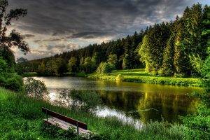 lake, Forest