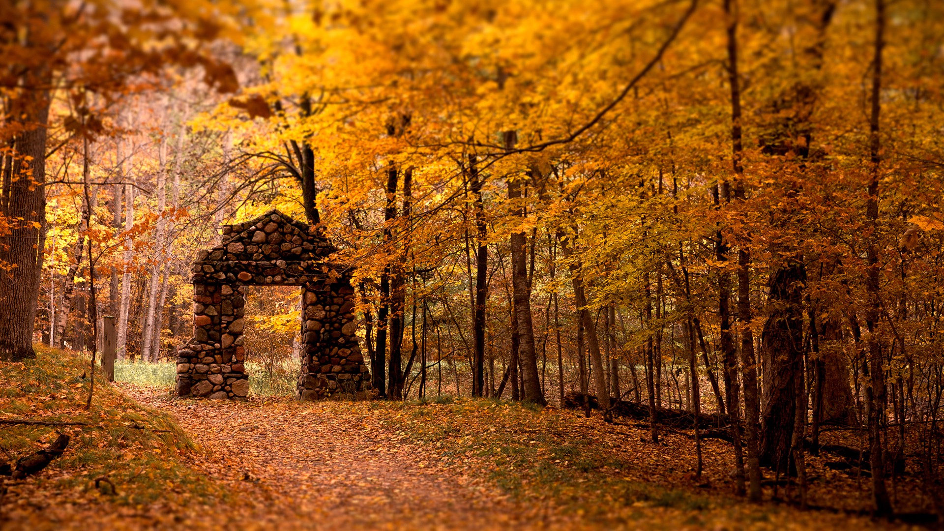 fall, Nature Wallpaper